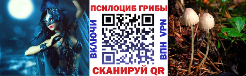 Галлюциногенные грибы MAGIC MUSHROOMS хочу Нюрба